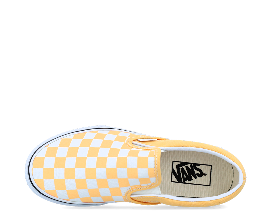 Vans Slip-On AM/BR - VN000XG8AZV-4